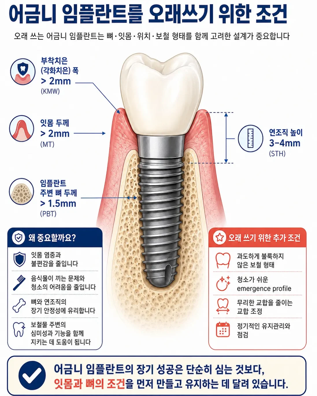 어금니 임플란트 뼈이식, 왜 뼈뿐만 아니라 단단한 잇몸까지 함께 만들어야 할까?
